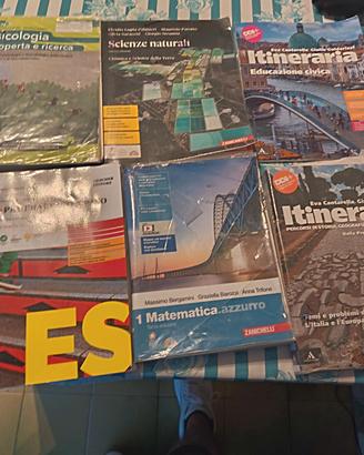 Libri scuola 1mo superiore  economico sociale 
