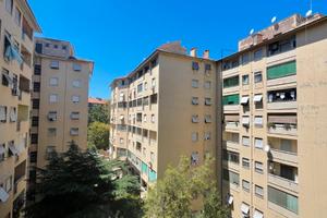Ampia stanza singola Roma Tuscolana metro A