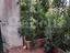 Immagine 24