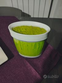 Ceppo porta coltelli