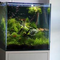 Vasca Acquario Cubo con mobile e accessori