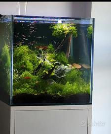 Vasca Acquario Cubo con mobile e accessori