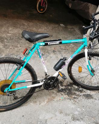 bicicletta
