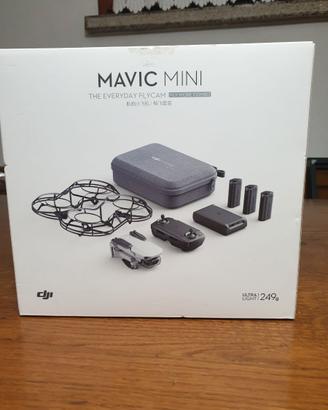 drone mavic mini