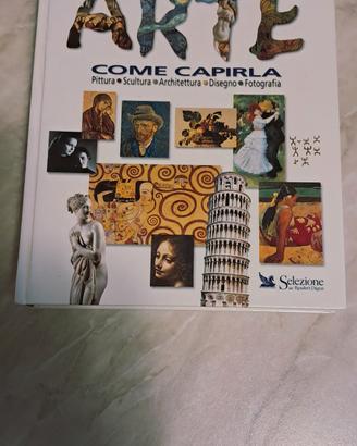 L'arte come capirla