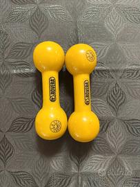 Pesi palestra 2x500g