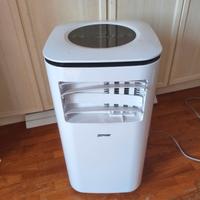 climatizzatore portatile zephir ZJP9000C