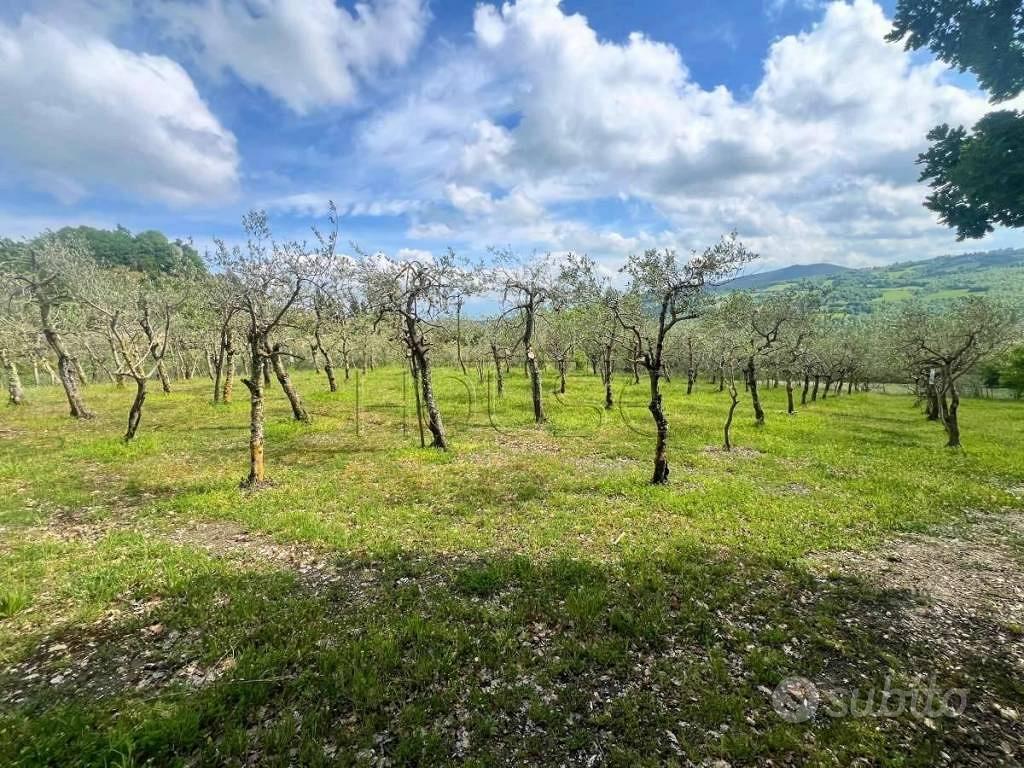 Terreno di 2000 m² a Pieve Santo Stefano - Vista 4