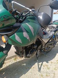 copri serbatoio Triumph Tiger 955i