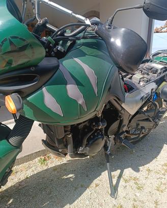 copri serbatoio Triumph Tiger 955i