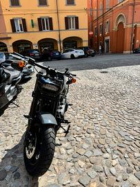 Harley in perfette condizioni