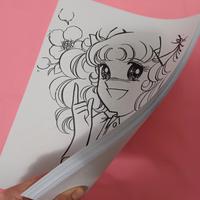 Candy Candy 🎀  Stampe da colorare