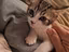 Immagine 6