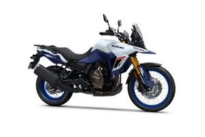 Suzuki V Strom DL 800 DE