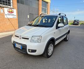 Fiat Panda 1.4 Climbing Natural Power