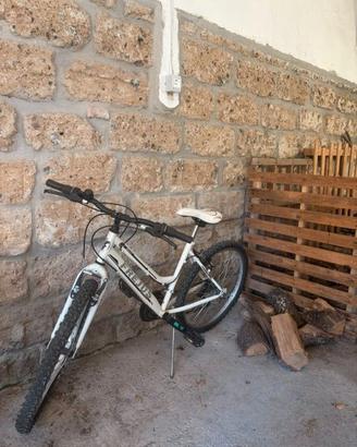 Bicicletta da 24 pollici buono stato