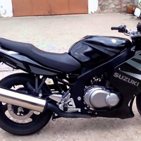 Suzuki GS500F
