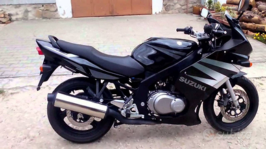 Suzuki GS500F