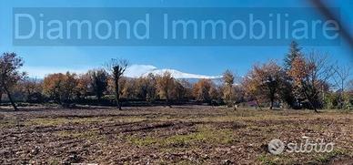Terreno edificabile 11.000 mq pianeggiante