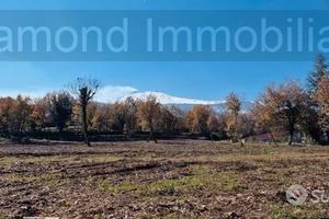 Terreno edificabile 11.000 mq pianeggiante