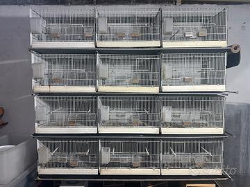 batteria di gabbie per uccelli