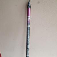 Canna da pesca 9 metri