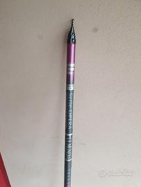 Canna da pesca 9 metri