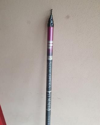 Canna da pesca 9 metri
