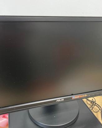 Monitor ASUS 19 pollici