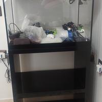 Vasca acquario Askoll Pure con mobile