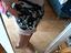 Immagine 2