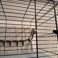 Trasportino di grandi dimensioni