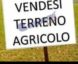 Terreno agricolo 7000 mq certaldo via piano sott