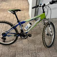 MTB Jumpertrek Shark 24