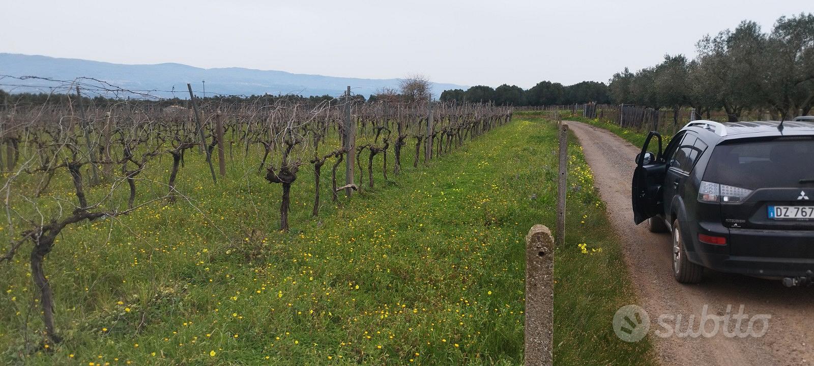 Terreno con casale - Vista 3