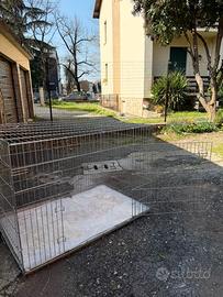 Kennel per cani
