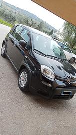 Fiat Panda 2024