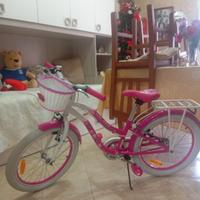 bicicletta