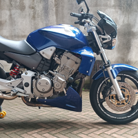 Hornet 900