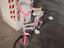 Immagine 6