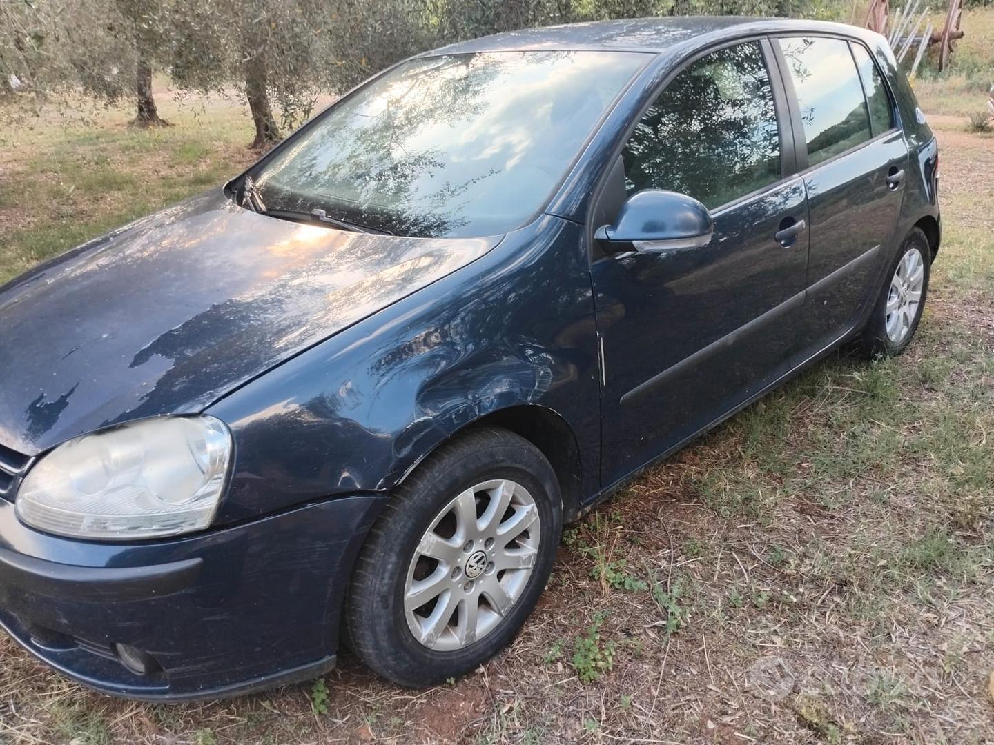 Volkswagen Golf 2008 photo 2