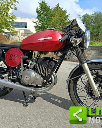 MOTO GUZZI TS 250 CAFE RACER