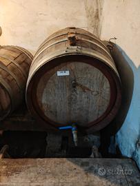 Botte in rovere 2 some