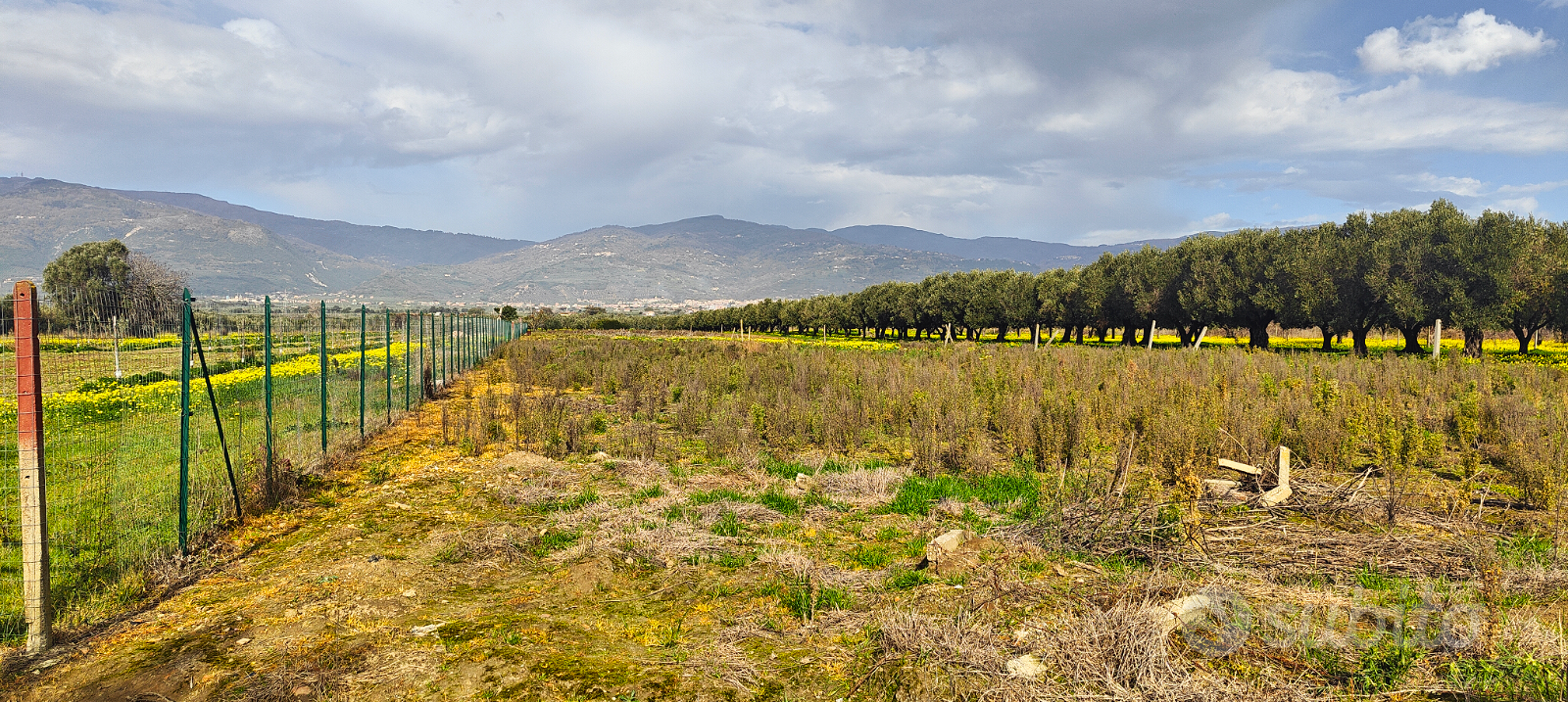 Terreno agricolo 8.760m² mt30x300 Lamezia zona A2 - Vista 3