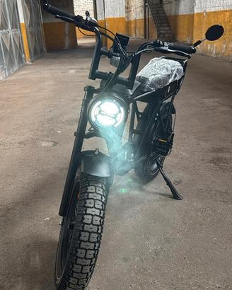 Bici elettrica ape ryder