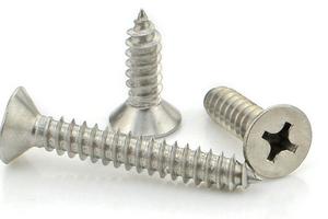 Bulloneria acciaio inox (Aisi 304/A2 - 316/A4)