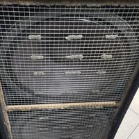 Impianto stereo per discoteca