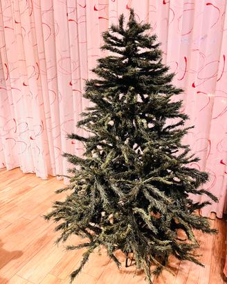 Albero di natale