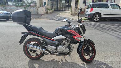 suzuki inazuma 250