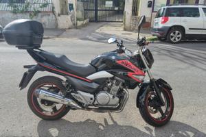 suzuki inazuma 250